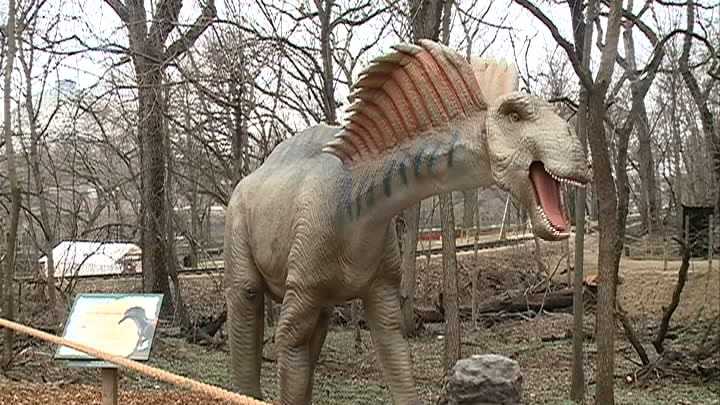 Dinosaur Exhibition in Shopping Centers