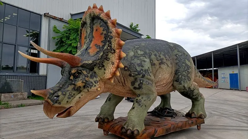 Triceratops Triceratops