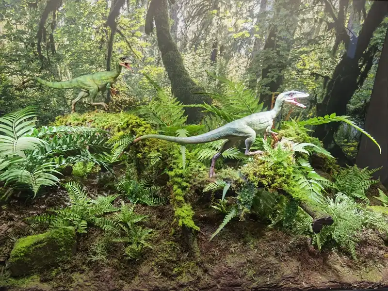 small size dinosaur small size dinosaur