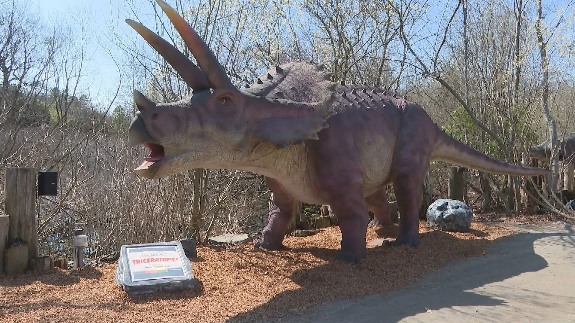 Animatronic Dinosaur Ideas for Night Shows and Events 3 Best Recommendations.webp