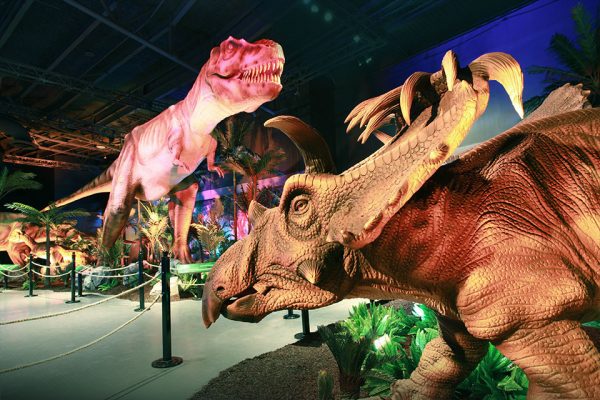 Dinosaur Exhibition in Shopping Centers
