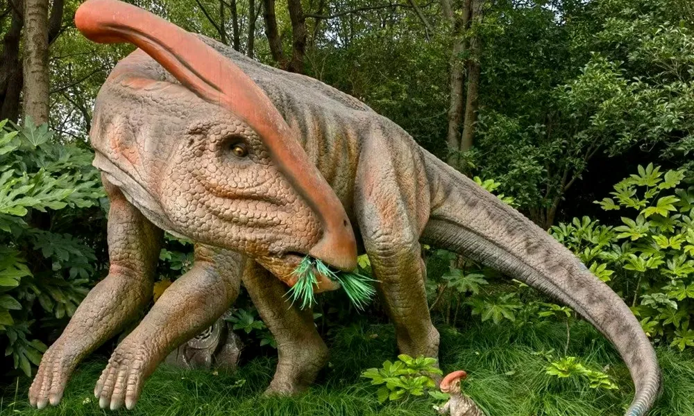 Creative,Dinosaur,Models,Tourist,Attractions