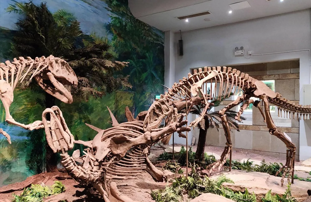Fiberglass Dinosaur Fossil Skeletons.webp