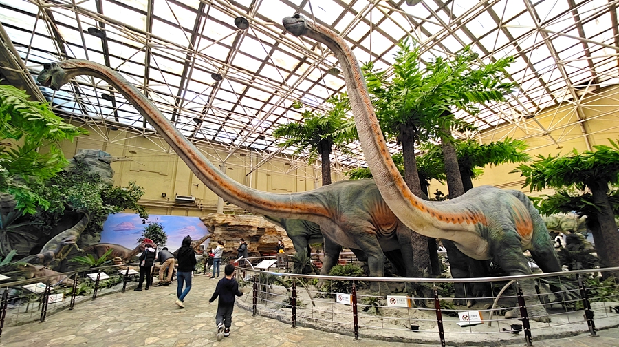 Dinosaur Museum