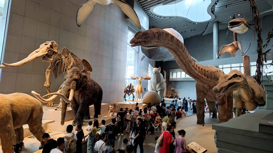 Museum of Natural Science