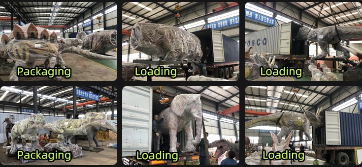 Packaging and Container Loading